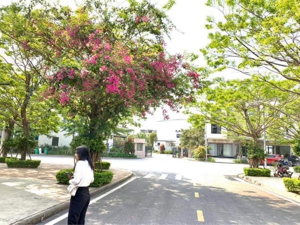 Haradise Suite Villa & Homestay Hạ Long-öböl Kültér fotó